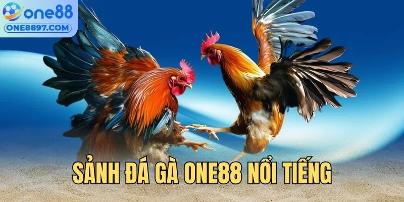 Các sảnh cung cấp sản phẩm chất lượng, nổi tiếng