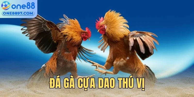 Khám phá bộ môn đá gà ONE88 cựa dao thú vị, kịch tính
